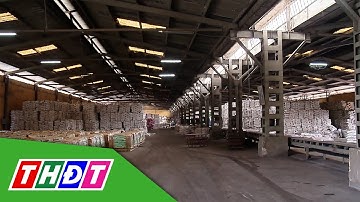 Xuất khẩu phân bón của Việt Nam bất ngờ tăng mạnh | THDT