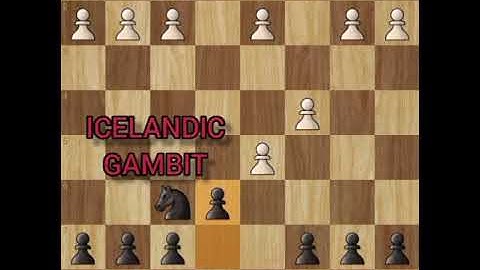 Icelandic gambit trap.everyone falls in this chess trap.best chess trap for beginners.#Shorts #chess