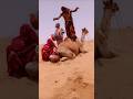 عرض فني مميز للفتيات في صحراء ثار