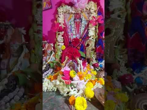 ফলহরিণী অমাবস্যা তিথিতে মায়ের বিশেষ পূজা #vairalshort #like #song #