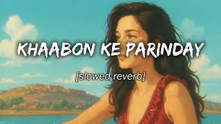 Khaabon Ke Parinday slowed  Reverb Mohit Chauhan  Zindagi Na Milegi Dobara  Planet Lofi