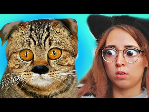 ВОЛШЕБНОЕ ПРЕВРАЩЕНИЕ КОШКИ В СОБАКУ В ОДИН ДЕНЬ