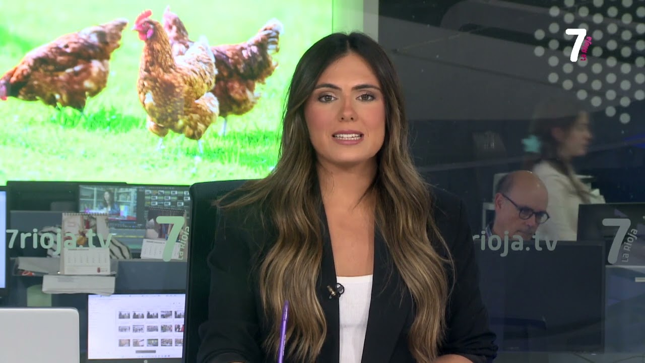 7 AL DIA 2ª EDICIÓN 14 11 2025