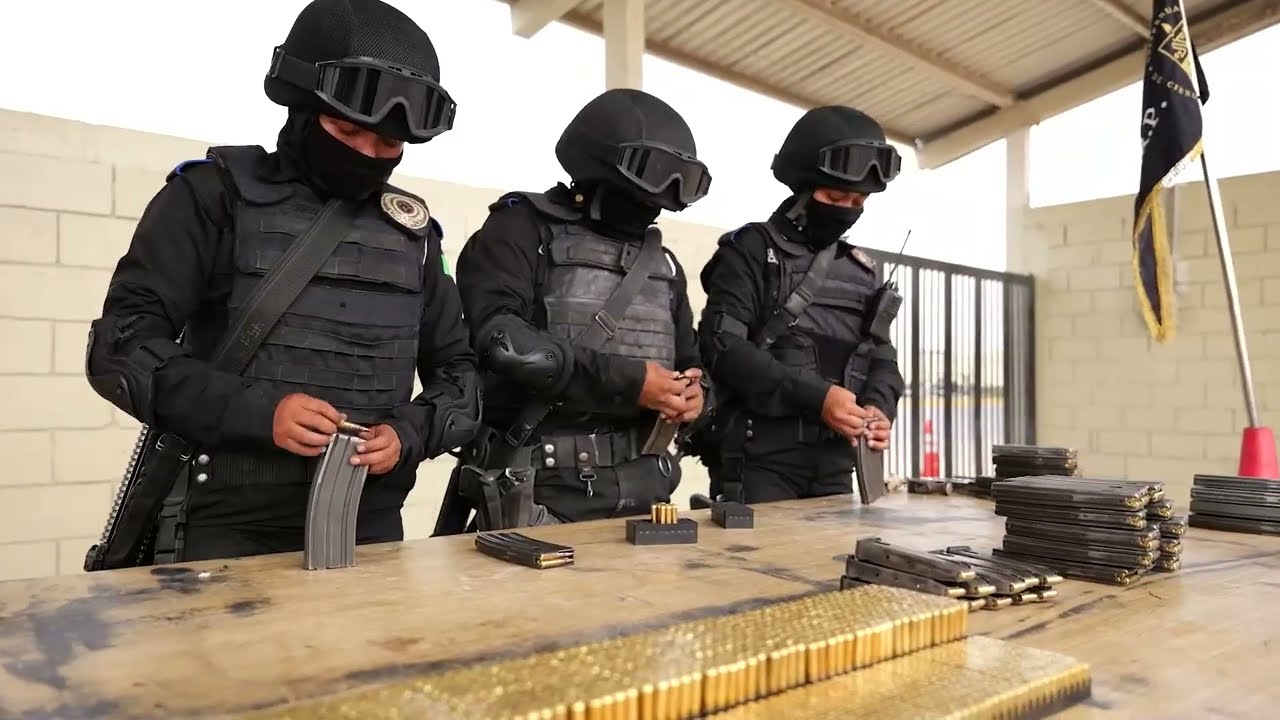 Escalones 77, 78 y 79 Fuerza Civil