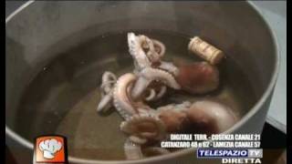 20100503.masterchef.a.1.mp4