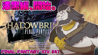 【FINAL FANTASY XIV】 #41 地球の形にしなる 長い長い帰り道 【ファイナルファンタジー14 実況】