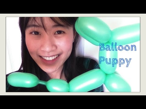 How to Build a Balloon Puppy or Balloon Dog: Animal Tutorial for