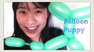 How to Make a Balloon Puppy / Balloon Dog - Balloon Animal Tutorial - Balloon Modeling / Twisting