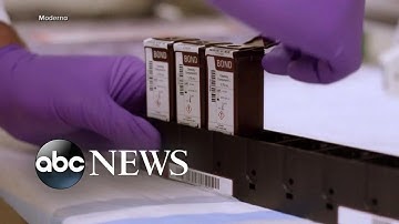 CDC reportedly objected to COVID-19 testing guidance l GMA