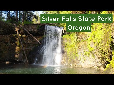 Video: Barkeeper Gehen Wild Auf Einem Wald-Rückzug In Silver Falls, Oregon