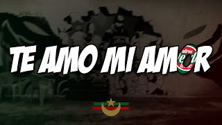 TE AMO MI AMOR | أولتراس فاردي ليوني | CHANT ULTRAS MOULOUDIA