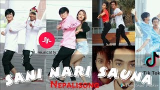 Sani Nari Sauna - DANCE COMPILATION tik tok | Nepali Songs | hasnain, Aashika, faisu, bijju