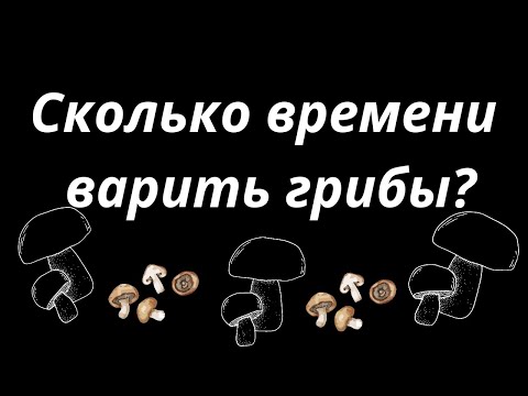 Сколько времени варить грибы? Сколько варить грибы? Как варить грибы