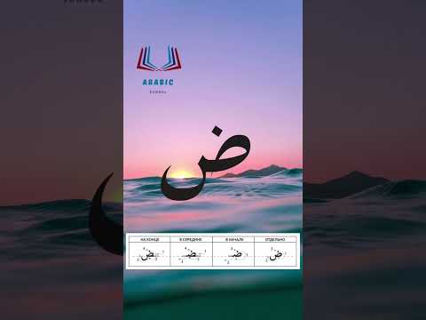    حرف الضاد بصوت الشيخ أيمن سويد   حروف هجاء أيمن سويد