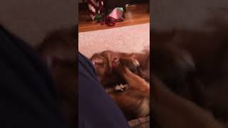 IMG 5078
