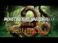 LA YACUMAMA: Monstruos del Amazonas Parte 3 |Criptozoologia|Terror