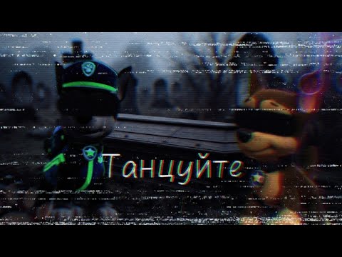 🌑Чейз и Грэй🌑 (Совместно с @PAWS193💘🫂)