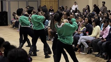 UNCC Stroll Competition 2011: Alpha Kappa Alpha Stroll 2