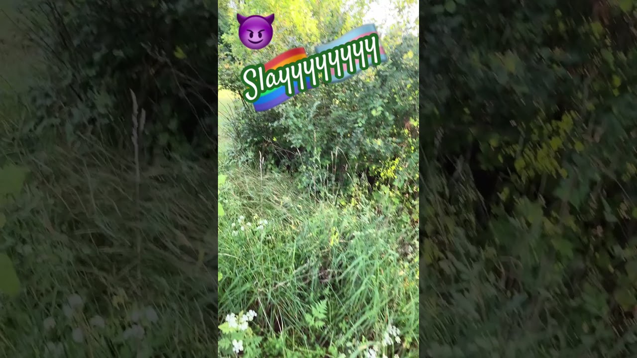 🏳️‍🌈🏳️‍⚧️ Pride Train in 15 days here🫶🫶🫶🫶🫶🫶🫶🫶🫶🫶