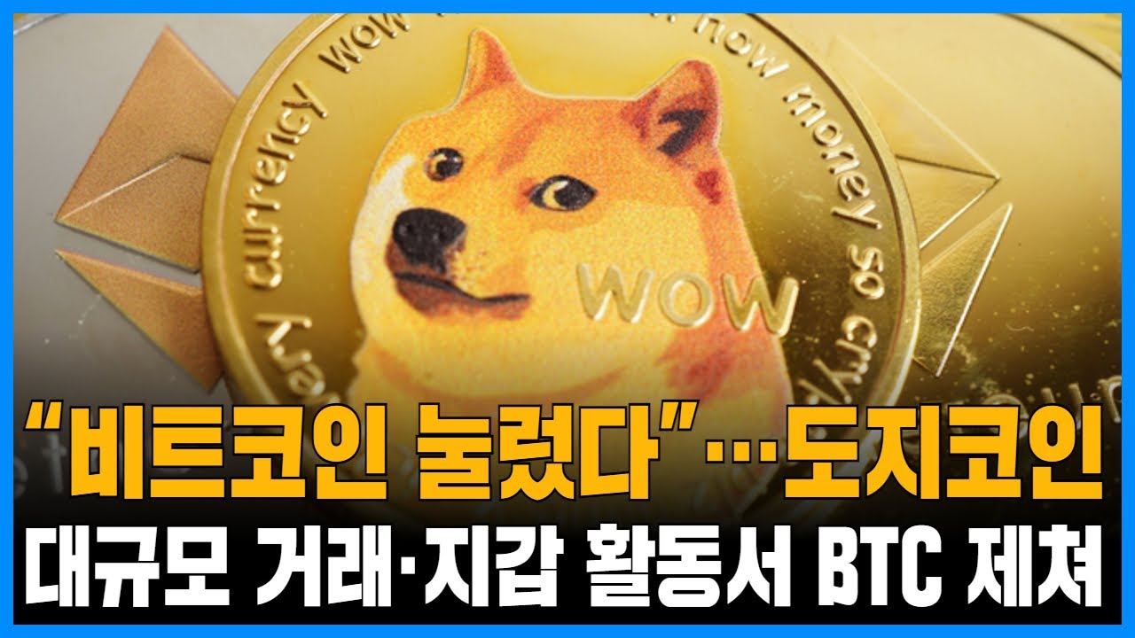 “비트코인 눌렀다”…도지코인, 대규모 거래·지갑 활동서 BTC 제쳐