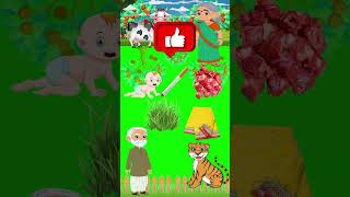 বাঘে থেকে কাঁচা মাংস দাবিতে পড়ে শাড়ি#video #cartoon #funny #animation #shorts #funny ,#vlog