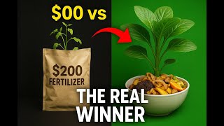 “The $0 Kitchen Secret That Beats $200 Fertilizer Every Time”