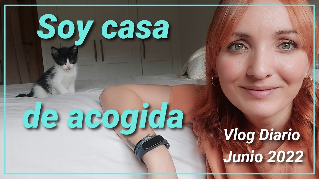 Soy casa de acogida de gatitos | Vlog diario