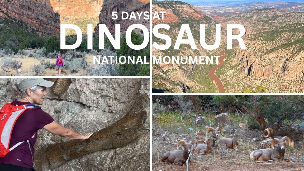 A Comprehensive 5 Day Tour of Dinosaur National Monument