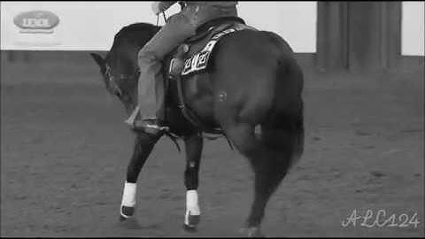 Welshly Arms legendary {}Equestrian music video