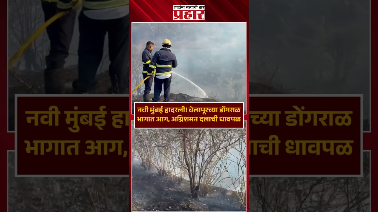 Navi Mumbai | नवी मुंबई हादरली! बेलापूरच्या डोंगराळ भागात आग, अग्निशमन दलाची धावपळ