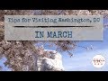 Tips for Visiting Washington DC in March image