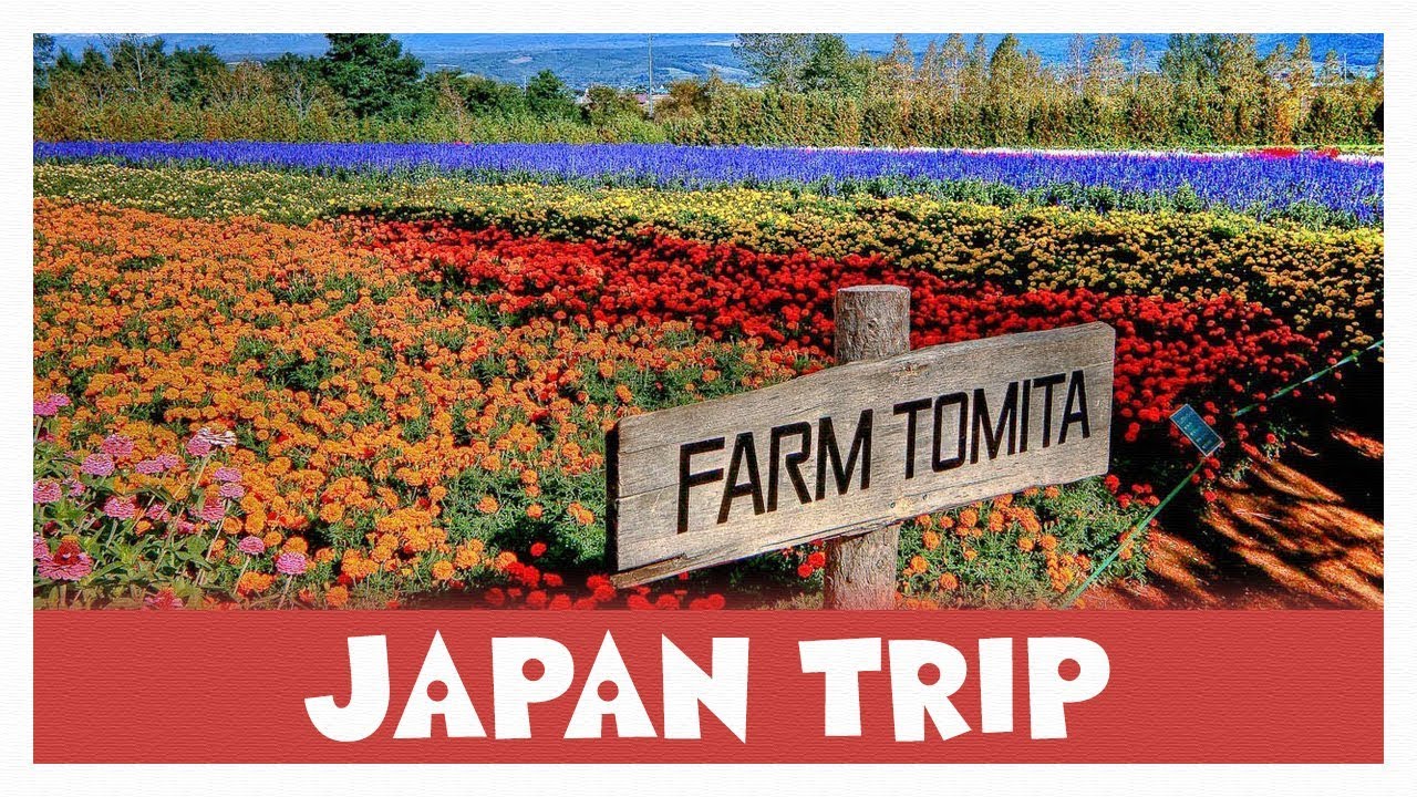 SAPPORO VLOG DAY 2 FARM TOMITA! YouTube