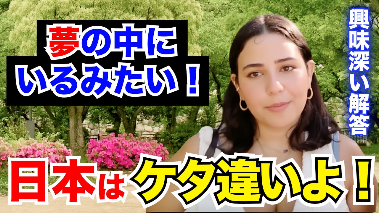 「日本はケタ違い！まるで夢の世界にいるみたい…」外国人観光客にインタビュー｜ようこそ日本へ！Welcome to Japan!【海外の反応】