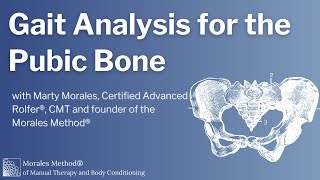 Gait Analysis- Pubic Bone