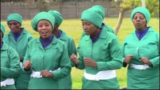 Izinyosi