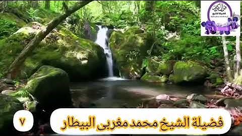 مقطع ١ من سورة التحريم من صلاة العشاء- الشيخ محمد البيطار