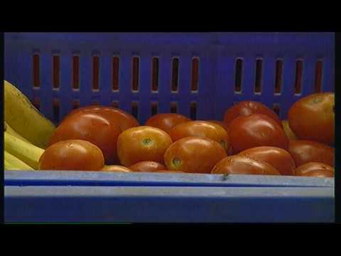 वीडियो: सब्जियों और फलों के लिए भंडारण