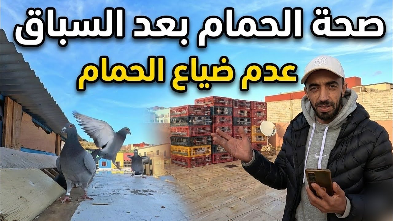 نتائج السباقات+ صحة الحمام شوف وحكم 🥳❤️