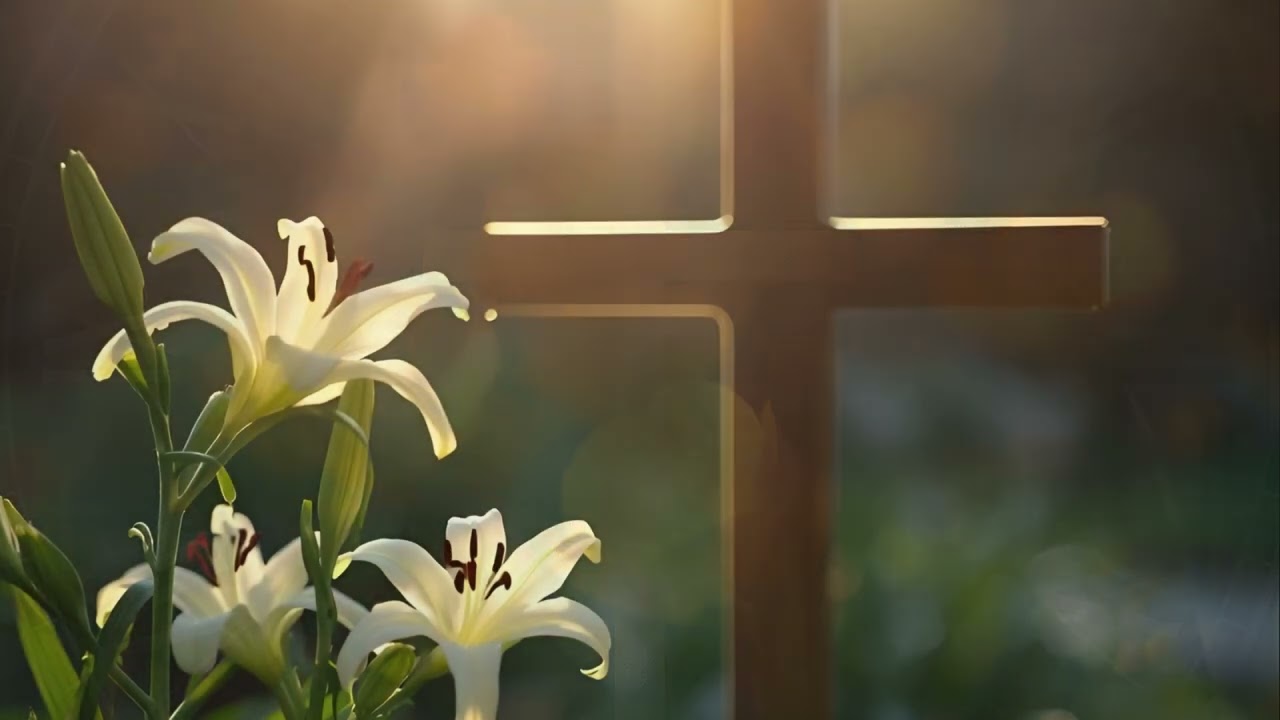 DAILY BREAD Promises 2 Peter 1:3-4 Psalm 119:140-148 Psalm 145:13 2 Corinthians 