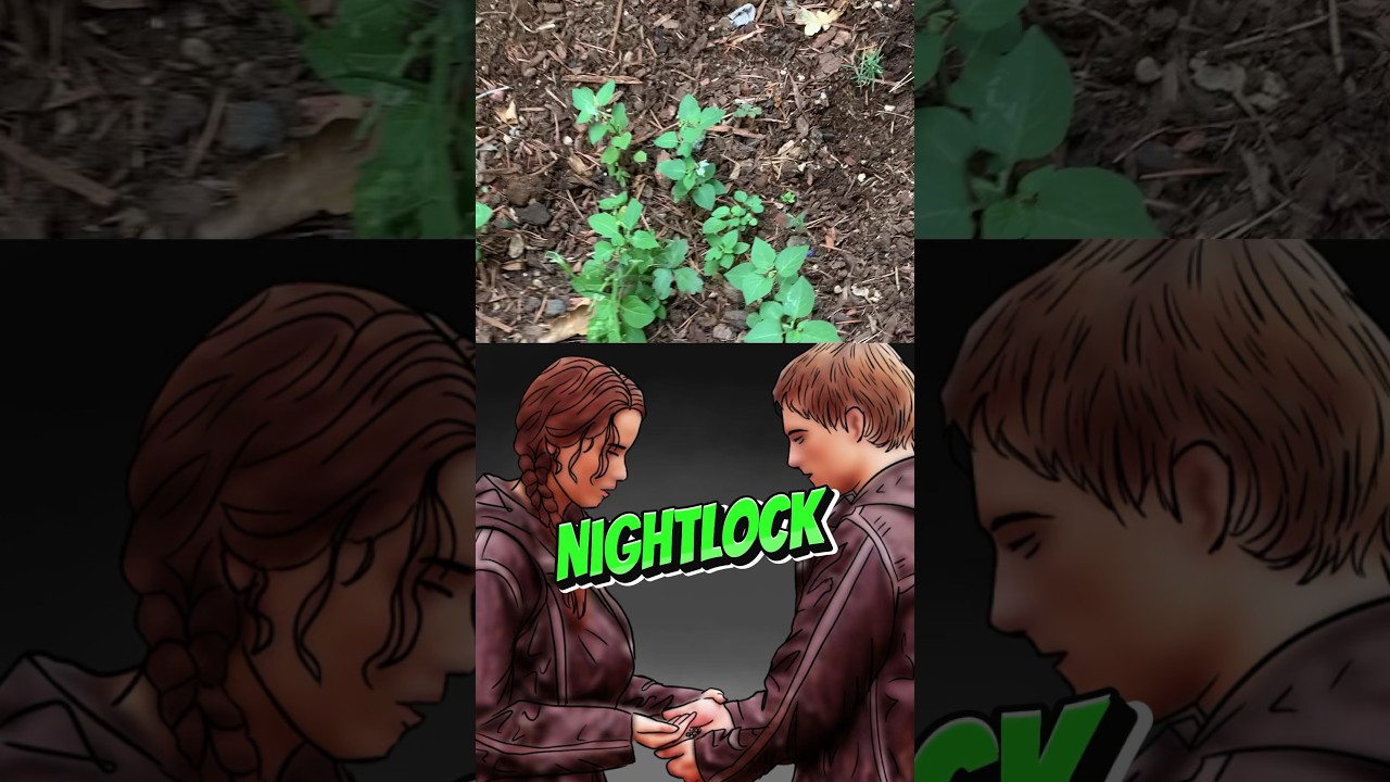 Hunger Games Poisonous Plant is REAL!!