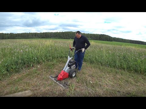 Содержание коровы в городе. Обзор немецкой косилки AL-KO