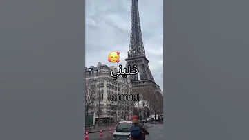 جليل باليرمو يالبابور اديني بلاد الخير خليني خلي ابوني مراك خاسر والو 