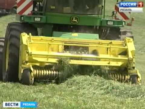 Рязанская фирма получила штраф за необработанную землю