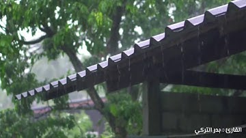 تلاوة رائعة 💚 ﴿فَاسْتَجَبْنَا لَهُ وَنَجَّيْنَاهُ مِنَ الْغَمِّ وَكَذَلِكَ نُنْجِي الْمُؤْمِنِينَ﴾