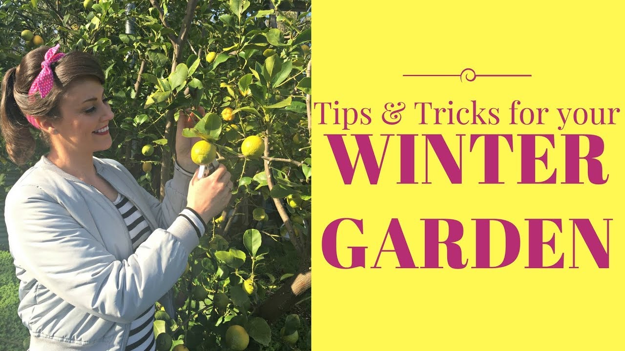 Winter Garden Care & Winter Garden Jobs // The Gardenettes 