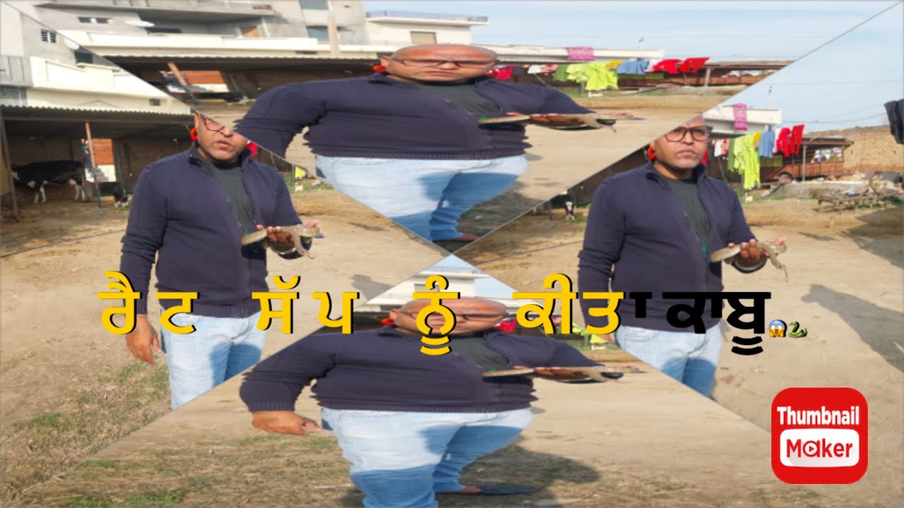 ਰੈਟ ਸੱਪ ਸੱਪ ਫੜਿਆ ਦਿੱਤੀ ਸਹੀ ਜਾਣਕਾਰੀ 😱