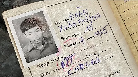 Warum waren so viele Vietnamesen in der DDR?