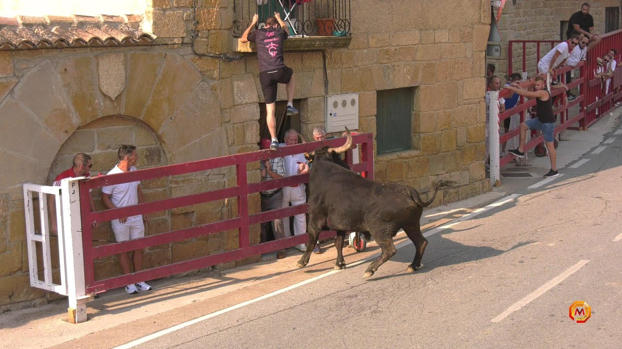 Tv Santacara - 15/08/2025 - Encierro Gan. Los Royos.