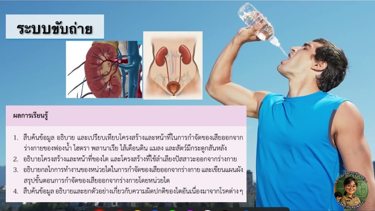 ระบบขับถ่าย 1 (ทดสอบก่อนเรียน+การขับถ่ายของสิ่งมีชีวิต)