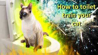 How to toilet train your cat